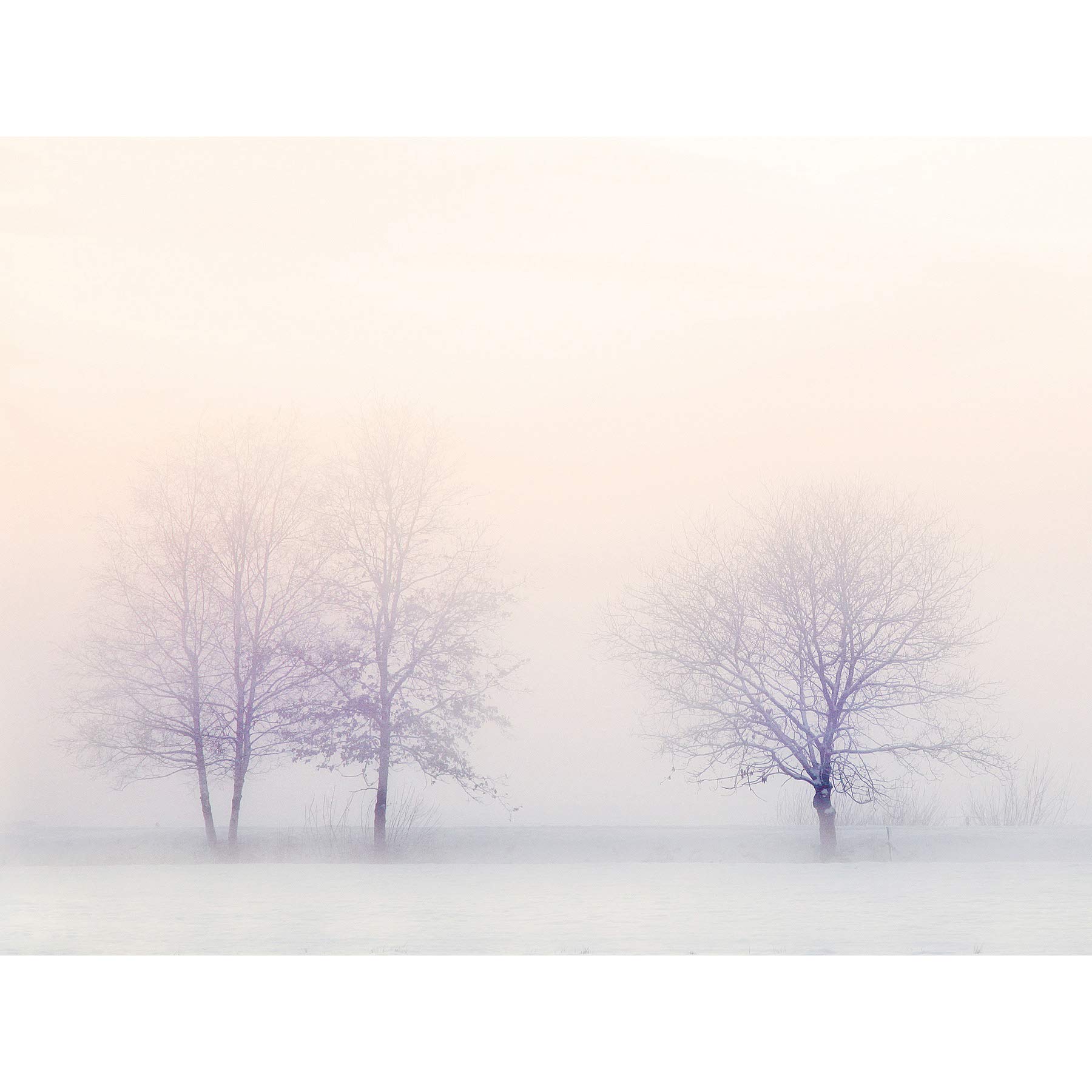 Trees In Winter Landscape Snow Large Canvas Wall Art Print