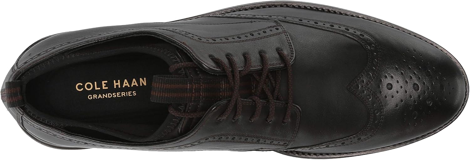 holland long wing oxford