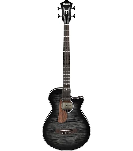 ovation CE44、純正ケース、等、7点 Amazon | OVATION CE44-RBB-G Celebrity Elite Exotic Mid Depth