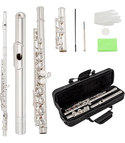 Nuvo Flauto Nero N245UKBK - Passa Dal JFlute Al Flauto Da Studente!