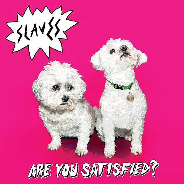 Evidence - Cats & Dogs - Amazon.com Music
