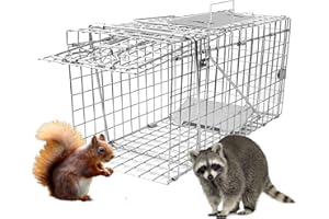 GHYKL Live Animal Cage Trap, 31" x 11" x 12" Heavy Duty Folding Raccoon Traps, Humane Cat Trap for Stray Cats, Raccoons, Squirrel, Skunk, Mole, Groundhog, Armadillo, Rabbit