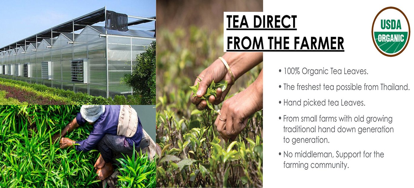 LEMONGRASS PANDAN TEA - Organic Herbal Tea Helps Blood Circulation (leaf) 3.5OZ