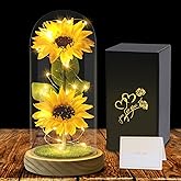 Valentines Day Gifts Sunflower Gifts for Women Mom Grandma, Enchanted LED Sunflower Lamp, Unique Artificial Flowers in Glass Dome, Present for Christmas,Birthday, Anniversary, Wedding,Mother's Day