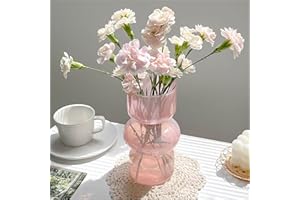 JSPYFITS Glass Hydroponic Flower Vase, 7 Inches Colored Glass Bubble Vase for Flower, Three-Layer Glass Funky Vase for Home/Office/Weddings/Party Table Flower Decor (Pink)