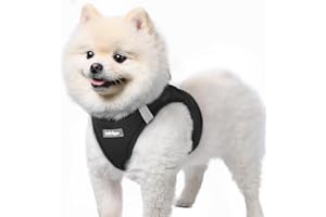 rabbitgoo Dog Harness Small Breed, Step-in Soft Mesh Puppy Vest with Safety Buckle, Breathable Reflective No Pull Pet Harness