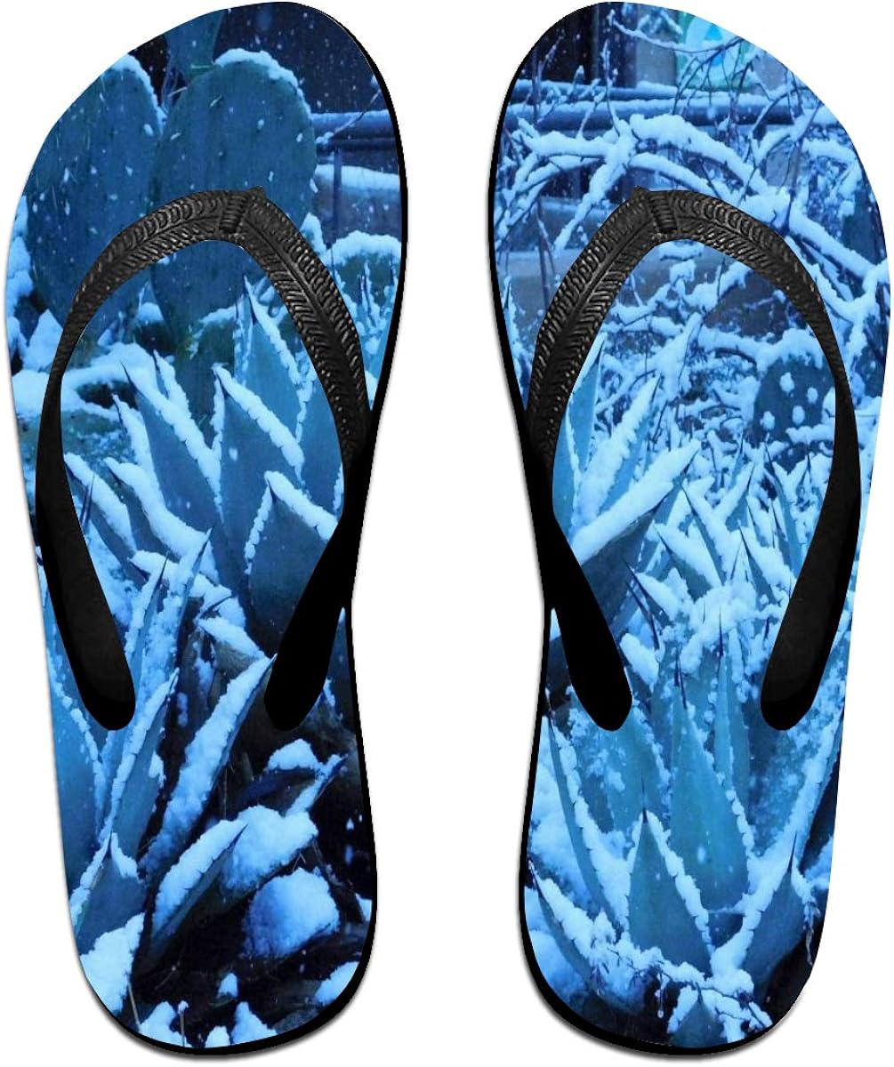 Amazon.com | Womens Thong Slippers Agave Plant Covered with Snow Blue Cactus Ladies Rubber Cozy 