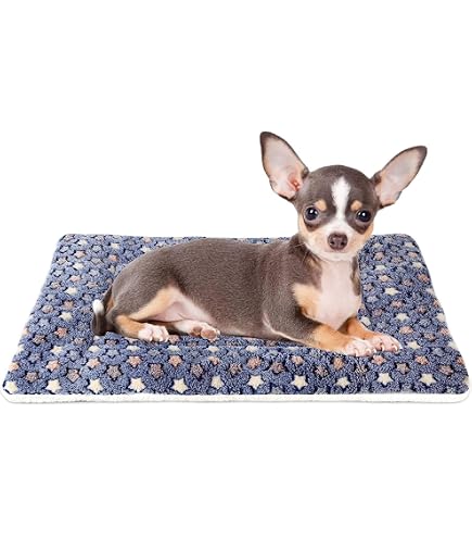 Parisian Pet Malibu Haustierbett – Gestreift, Blau, Weich & Waschbar