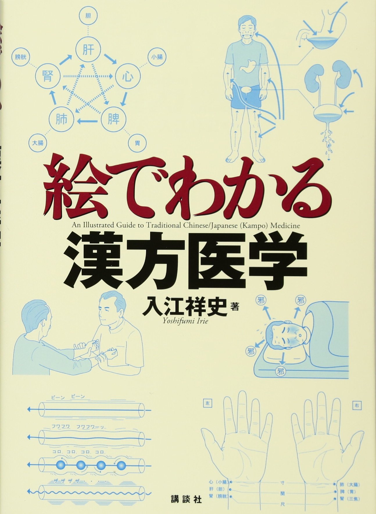 和漢薬方意辞典　漢方　医学書　教科書　書籍　本　東洋医学　和漢薬　薬局　薬剤師 和漢薬方意辞典 漢方 医学書 教科書 本 書籍 東洋医学 和漢薬