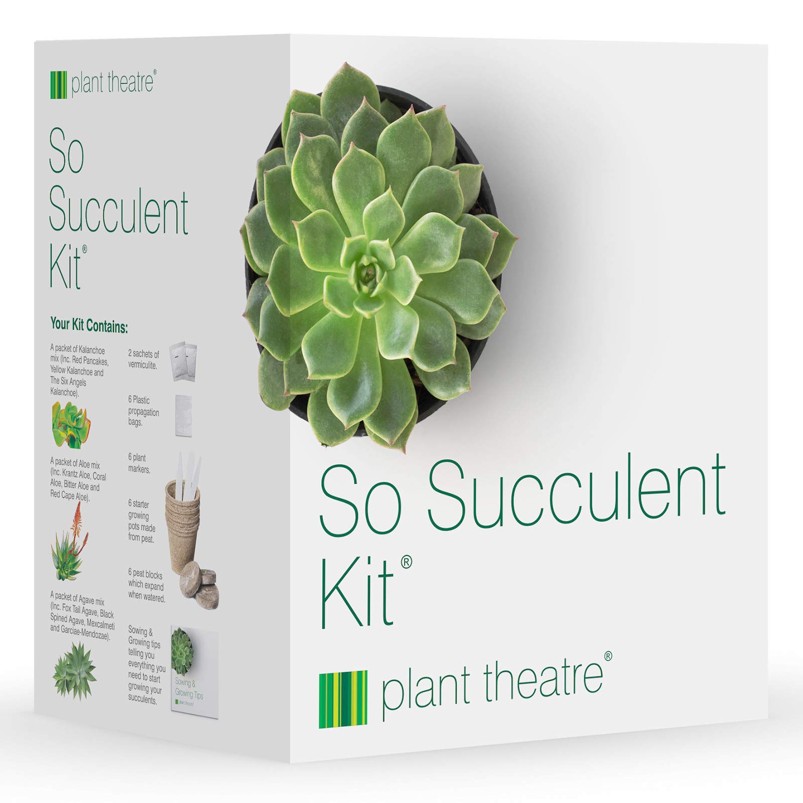 Plant Theatre So Succulent Kit - Gift Seed Kit with Super Succulent Plant Varieties to Grow, So Easy to Care for!