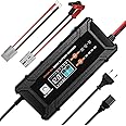 ECO-WORTHY 12V/24V 20A LifePO4 Lithium Battery Charger 14.6V Automatic Smart & Maintenance with Anderson Connector for Deep C