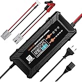 ECO-WORTHY 12V/24V 20A LifePO4 Lithium Battery Charger 14.6V Automatic Smart & Maintenance with Anderson Connector for Deep C