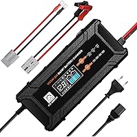 ECO-WORTHY 12V/24V 20A LifePO4 Lithium Battery Charger 14.6V Automatic Smart & Maintenance with Anderson Connector for Deep C