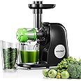 Juicer Machines, HOUSNAT Professional Celery Slow Masticating Juicer Extractor Easy to Clean, Cold Press Juicer with Quiet Motor and Reverse Function for Fruit & Vegetable, Brushes & Recipes Included