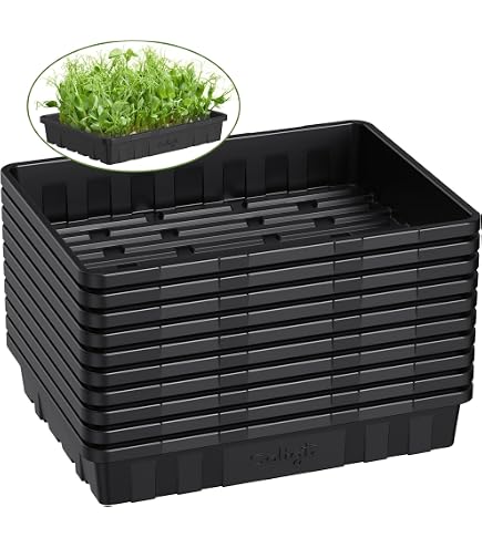 72-Cell Seed Starting Trays - 1206 Inserts for Flowers & Gardens - 100 Ct