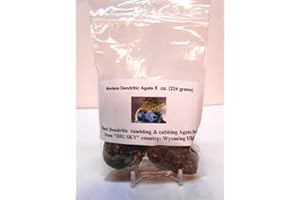 ROCKHOUND'S 1ST CHOICE YELLOWSTONE,MONTANA BLACK DENDRITE AGATE Rock Tumbler Gem Refill Kit Yellowstone,Montana Black Dendrite Agate Rough 8 oz