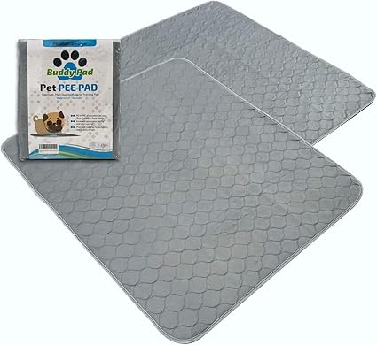 dog ate rubber mat