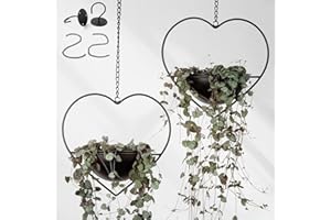 Hajia 2 Pack Heart Shaped Boho Hanging Plant Holder with 6inch Detachable Pot, Black Metal Wall Ceiling Plant Hanger for Indoor Outdoor, Minimalist Small Hanging Planter for Home Wedding Decor