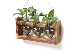 MTSIGNS Plant Terrarium Propagation Stations Faith Hope Love Hydroponics Home Garden Decoration Gift for Women with Wooden Stand Heart Shaped Colored Glass Vase