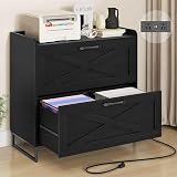 Halitaa Lateral File Cabinet with Charging Station, 2 Drawer File Cabinet for Letter/Legal/A4 Size Hanging Files, Large Wood File Storage Cabinets Printer Stand for Home Office, Black
