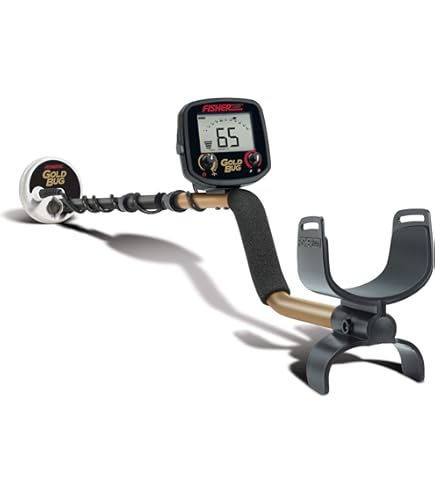 Amazon.com : Fisher Gold Bug DP Metal Detector - Lightweight