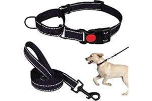 MTLIEPTE Martingale Dog Collar and Leash Set Martingale Collars for Dogs Reflective Martingale Collar for Small Medium Large Dogs(Black&S)