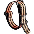 BINLUN Nylon Watch Strap Thick Premium Ballistic Multicolor Bands for Men Women 18mm 19mm 20mm 21mm 22mm 23mm 24mm with Military Heavy Duty 5 Rings Silver/Black Stainless Steel Buckle