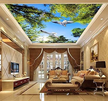 Carta Da Parati 3d Per Foto Sul Soffitto Cielo Blu Colomba