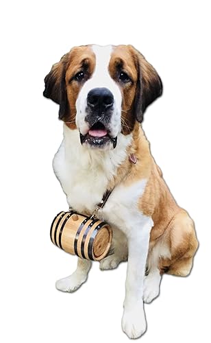st bernard carrying rum