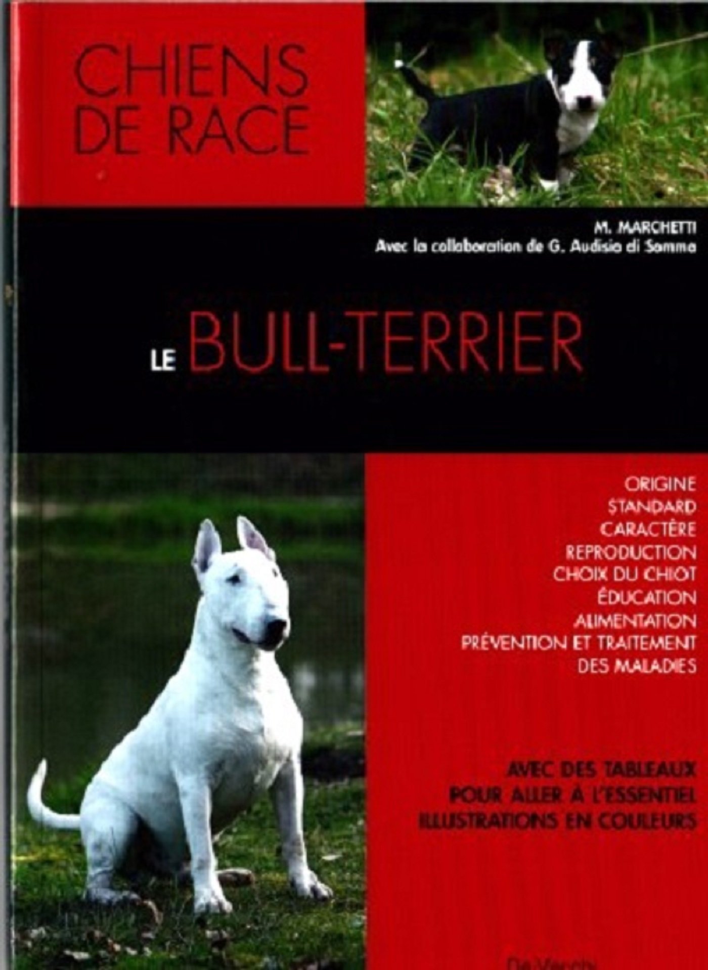 Le Bull Terrier M Marchetti 9782732886749 Amazoncom Books