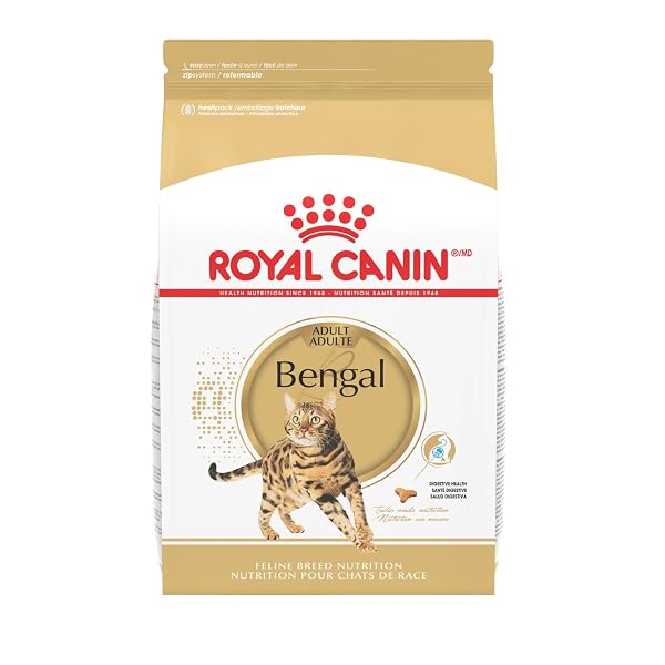 ROYAL CANIN FELINE BREED NUTRITION BENGAL ADULT DRY...