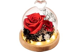 TGELATA Flowers, Roses, Gifts - Preserved Flower Bouquets - Forever Roses Birthday Gifts for Women, Christmas, Mothers Day - Fresh Flowers That Last - Flowers for Delivery - Battery Included
