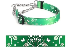 haoyueer Martingale Dog Collar - Stainless Steel Chain, No Pull Training Collar with Flower Design for Large Medium Small Dogs (8, L)