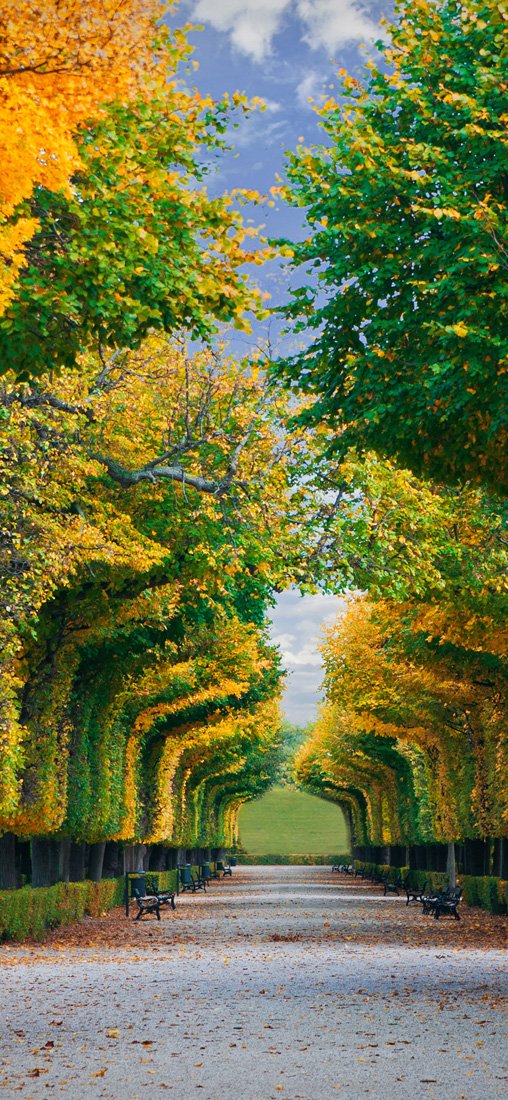 PeelitStickit Nature Wallpaper, Wall Mural ID-029, vinyl