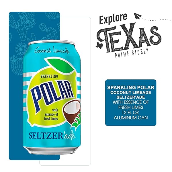 POLAR SELTZER ADE 20 PACK OF COCONUT LIMEADE SPARKLING LEMONADE 12 FL OZ CAN