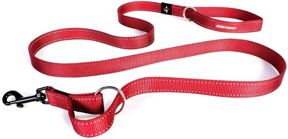 ezydog lead