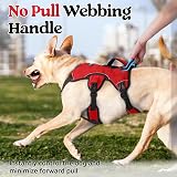 rabbitgoo Escape-Proof Dog Harness Medium XL Red with Handle Reflective view 5