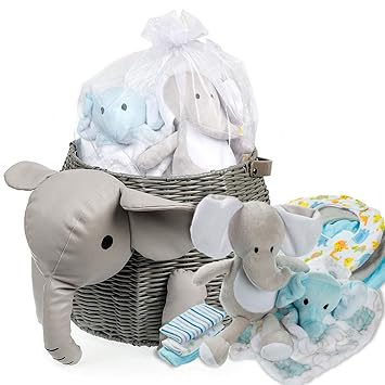 amazon baby gifts boy