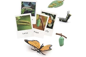 MIKNEKE Montessori Life Cycle Animal Figures with Flash Cards, Plastic Insects Monarch Butterfly Kit Caterpillar Toy for Kids, Realistic Animal Figurines (Butterfly)