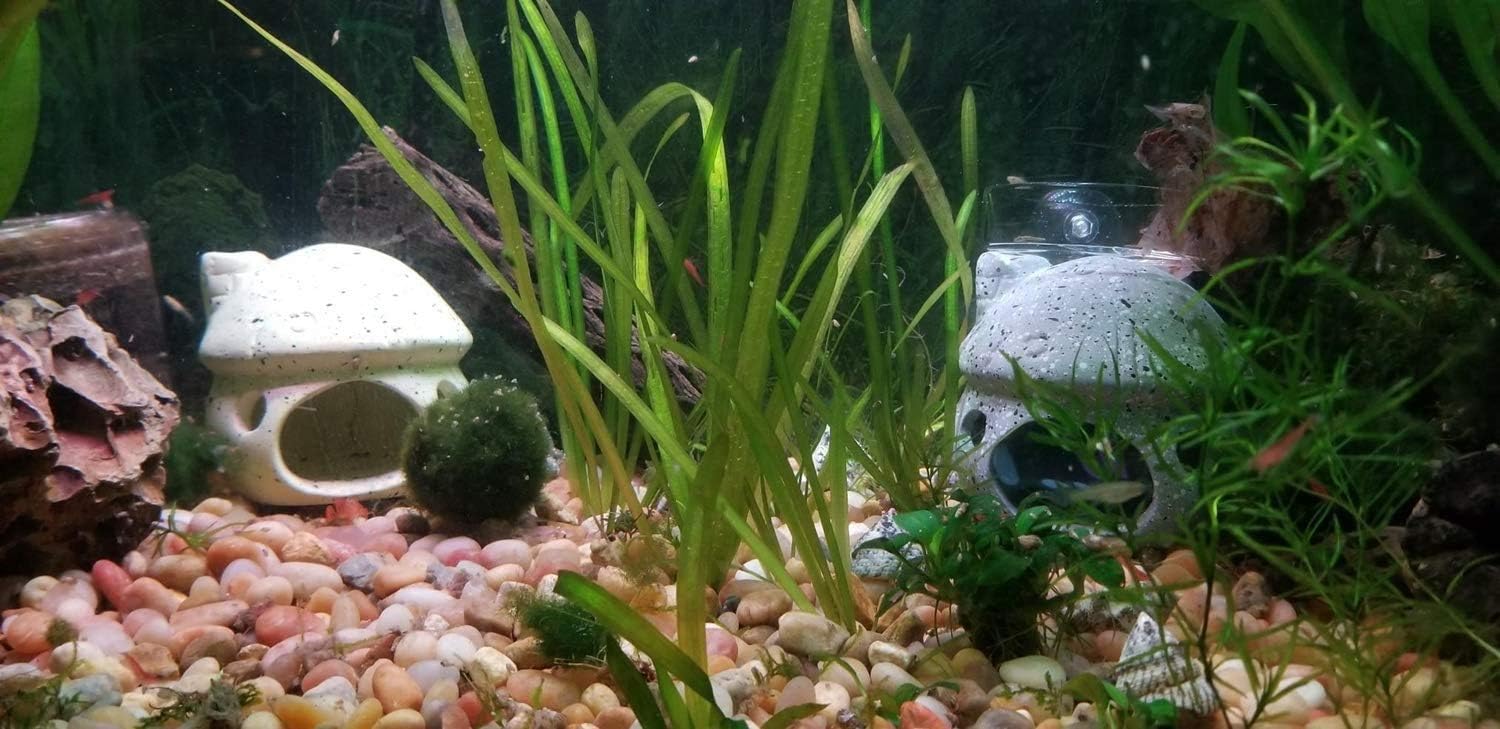 Amazon アクアリウム オーナメント Uotyle セラミック 水槽 用 オブジェ 金魚 熱帯魚 爬虫類 隠れ家 インテリア おしゃれ 8 5 8 5 8cm きいろ Uotyle オーナメント 通販