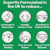 NutriPaw Calming Treats For Dogs - Non Drowsy Stress & Anxiety Aid view 2