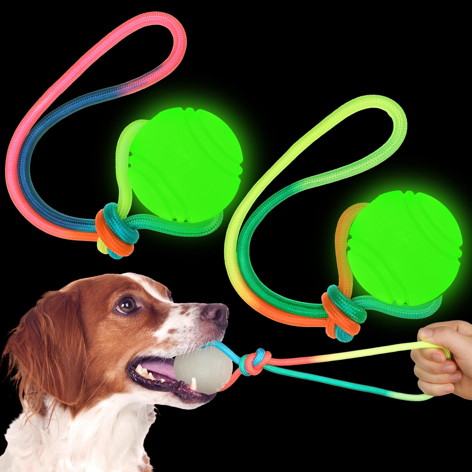 Photo 1 of 2 Pcs Dog Training Ball on Rope Glow in The Dark Ball 2.36 Inch Toys with 12 Inch Rope for Small Large Medium Dogs Glowing Interactive Pull Reward Fetch Exercise Toy
