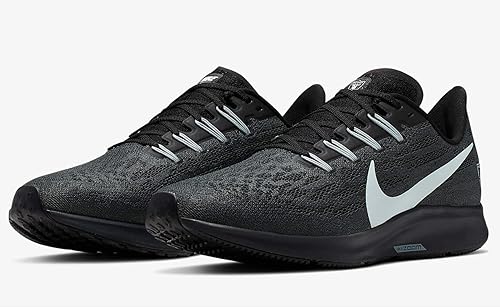 air zoom pegasus 36 raiders