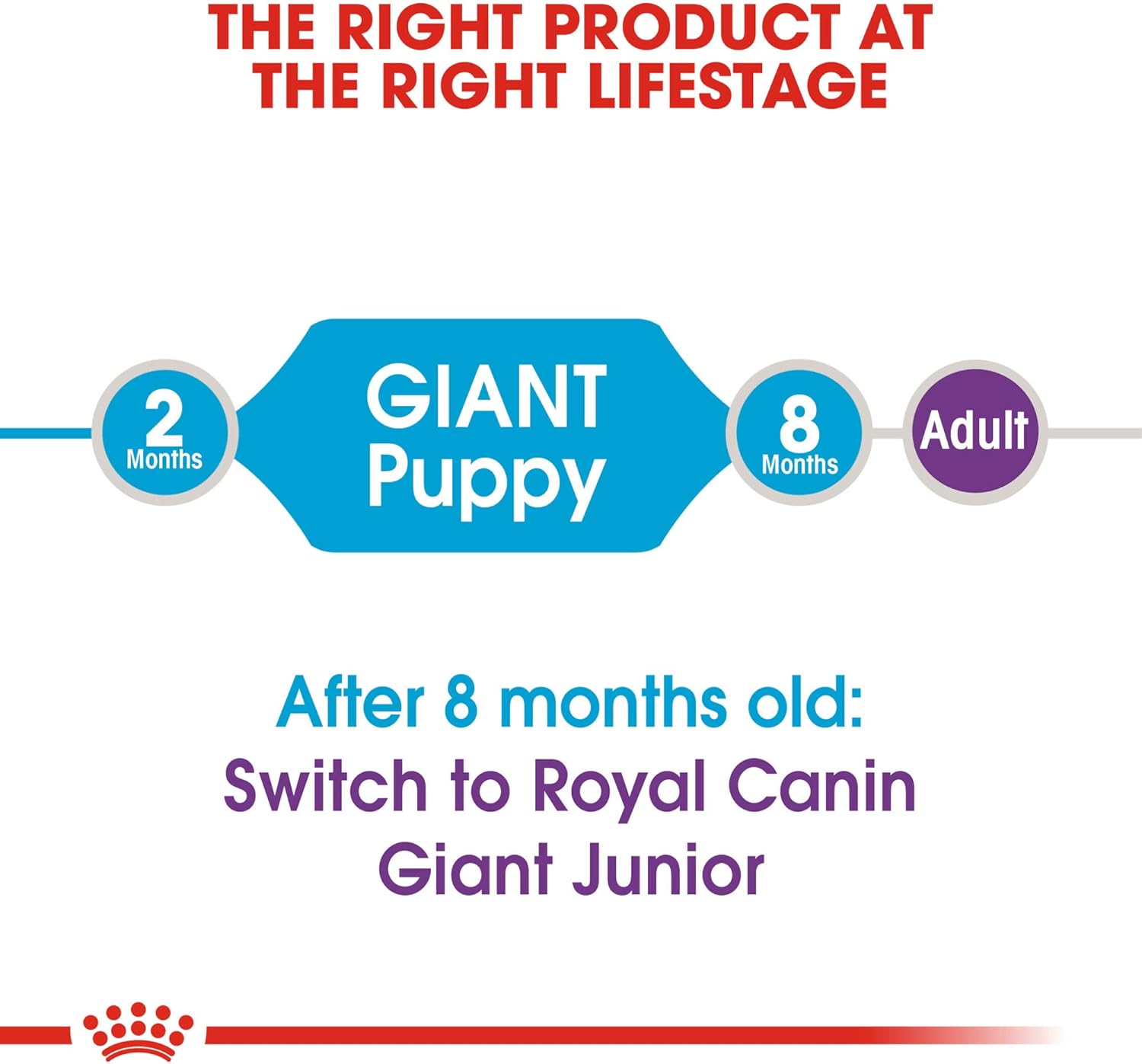 royal canin giant breed