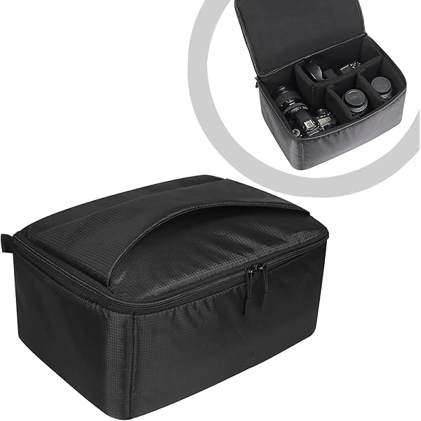 Amazon.com : Tenba BYOB 10 DSLR Backpack Insert - Turns any bag