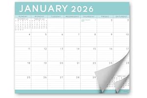 S&O Teal Magnetic Fridge Calendar from January 2026-June 2027 - Tear-Off Refrigerator Calendar to Track Events & Appointments