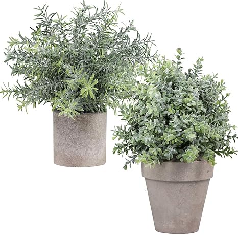 Amazon Winlyn 2個セット ミニ鉢植え 人工プラスチック植物 ボックスウッド トピアリー 低木 フェイクグリーンローズマリー植物 ホームインテリア オフィス デスク シャワールームデコレーション 人工観葉植物 オンライン通販