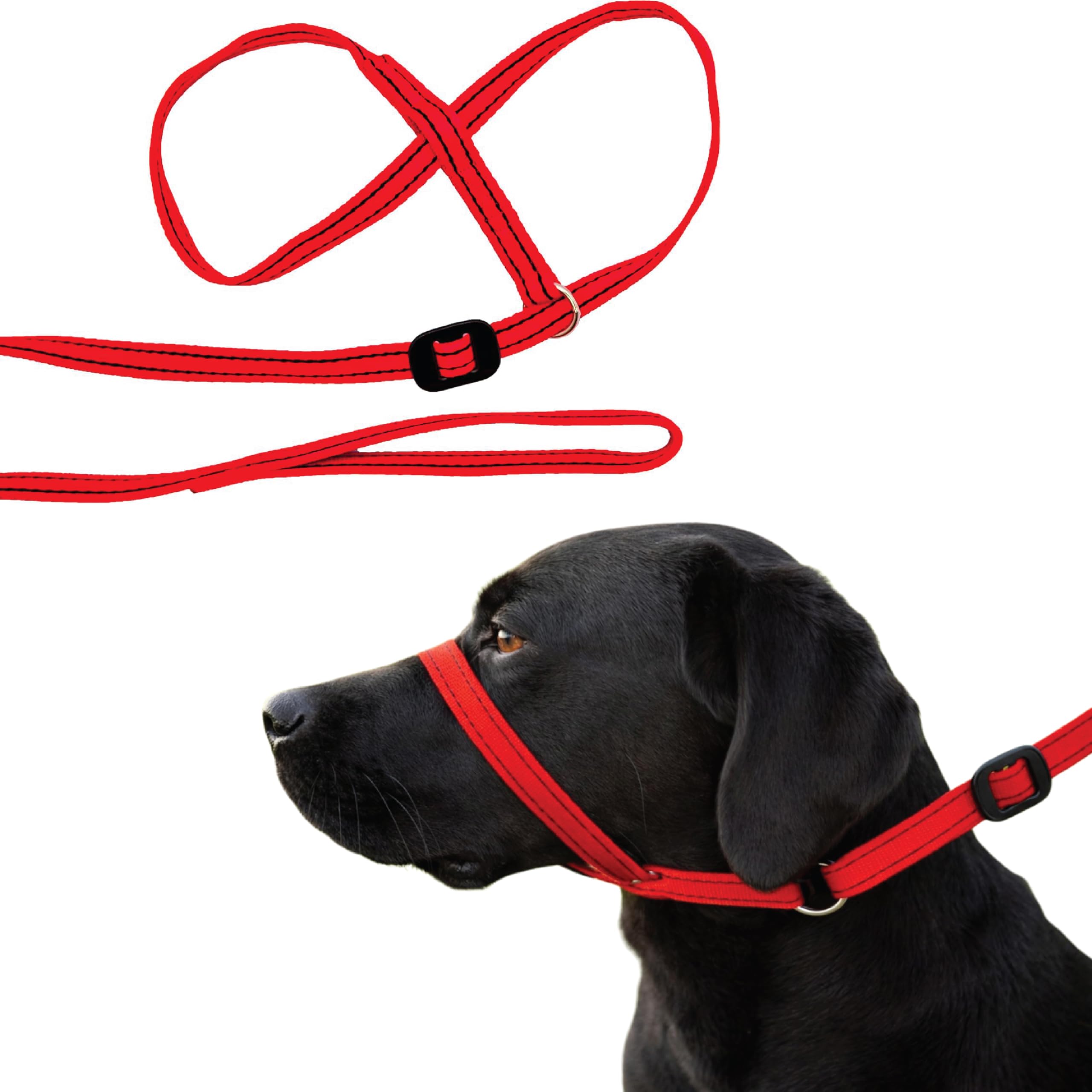 Gencon All-in-1 Headcollar and Lead Right-handed Red/Black
