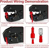 Heschen Red 6.3x0.8mm Vinyl Female Quick Disconnect Terminals 22-16 AWG 100 Pack view 3