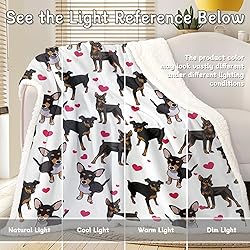 BlessLiving Red Hearts Dog Cat Print Plush Blanket
